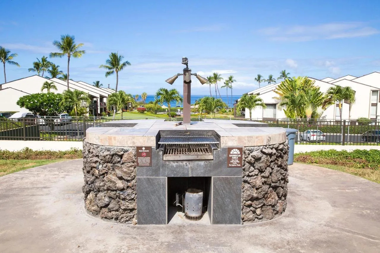 Hale Kamaole 276 Villa Wailea