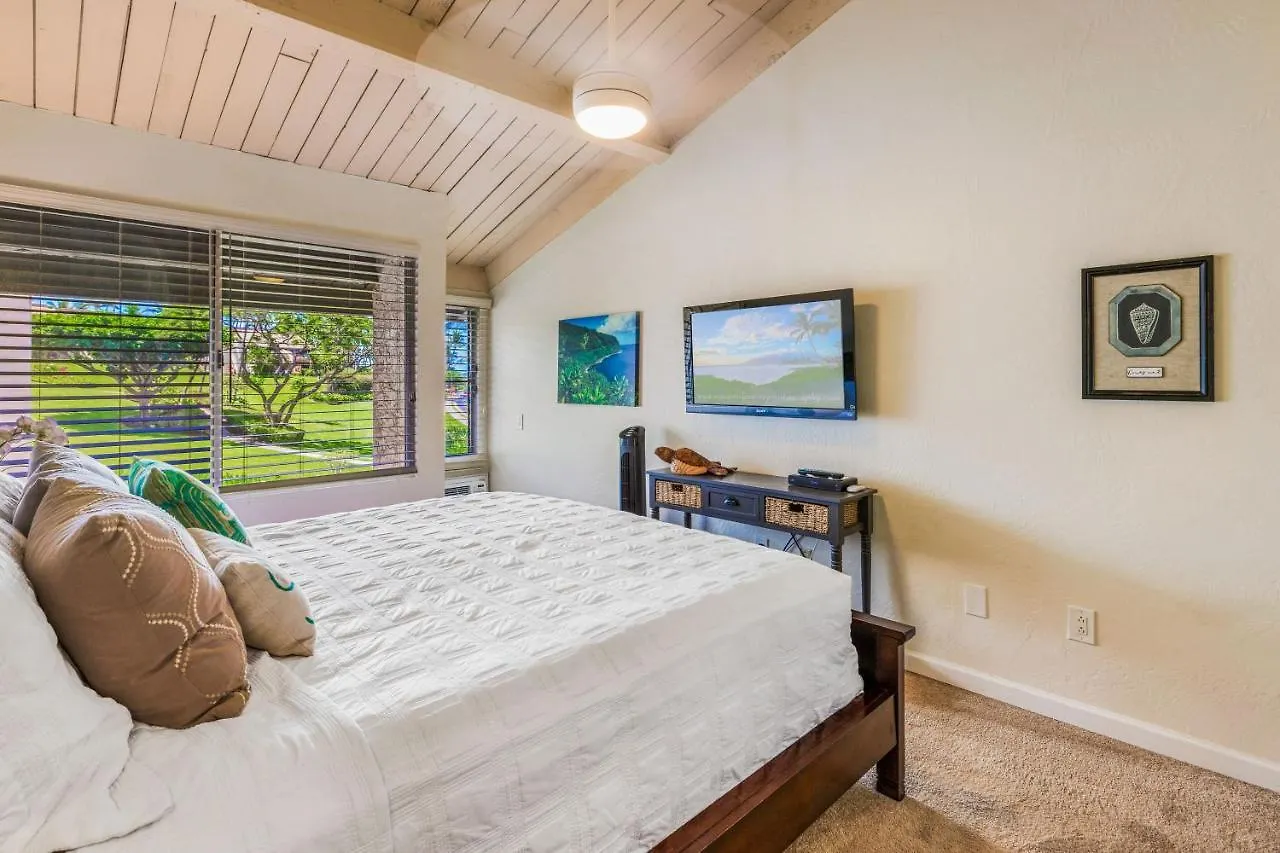 Prázdninový dům Vila Hale Kamaole 276 Wailea  USA