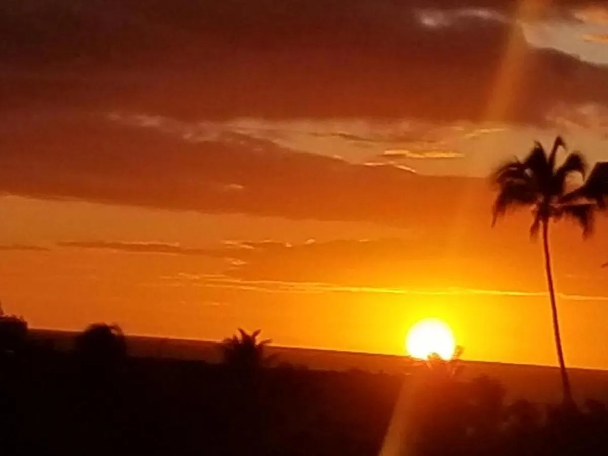 Vila Hale Kamaole 276 Wailea  Prázdninový dům Wailea (Maui)